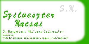 szilveszter macsai business card